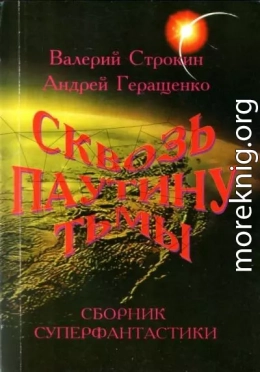 Паутина Циолковского, или Первая одиссея «Мира»