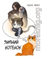 Зимний котёнок