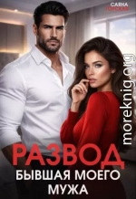 Развод. Бывшая моего мужа
