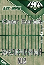 Булыга: Заключенный № 12 (СИ)