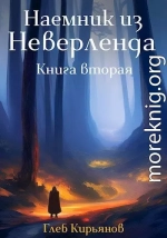 Наемник из Неверленда. Книга вторая