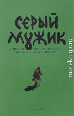 Серый мужик<br />(Народная жизнь в рассказах забытых русских писателей XIX века)