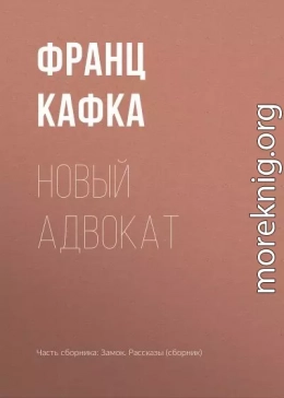Новый адвокат