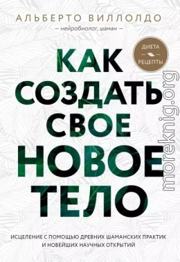 Как создать свое новое тело