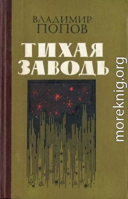 Тихая заводь