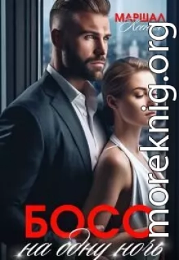 Босс на одну ночь