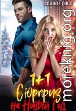 1 + 1. Сюрприз на Новый год