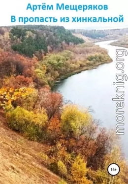 В пропасть из хинкальной