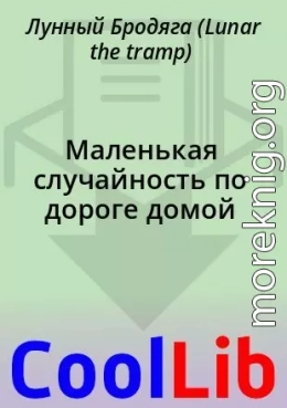 Маленькая случайность по дороге домой