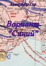 Вариант «Синий»