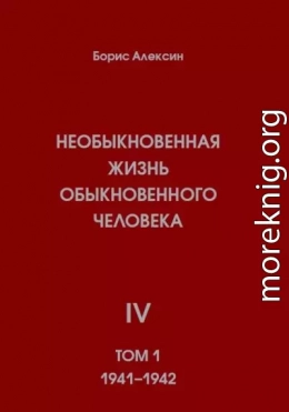 Необыкновенная жизнь обыкновенного человека. Книга 4. Том 1