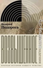 Возвышенное. После падения. Краткая история общего чувства