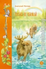 Только не обижай