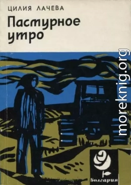 Пасмурное утро
