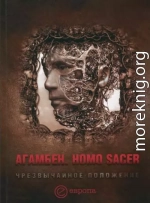 Homo sacer. Чрезвычайное положение