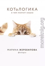 КОТоЛОГИКА. О чем молчит кошка