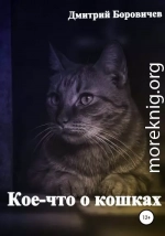 Кое-что о кошках