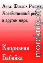 Лиза. Филиал России. Хозяйственный рейд в другом мире