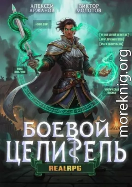 Класс: Боевой Целитель. Том 3