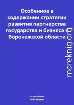 Особенное в содержании стратегии развития партнерства государства и бизнеса в Воронежской области