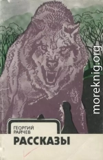 Рассказы