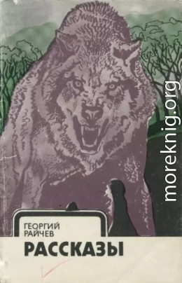 Рассказы
