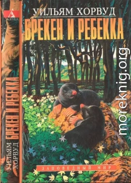 Брекен и Ребекка