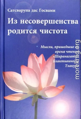 Из несовершенства возникнет чистота