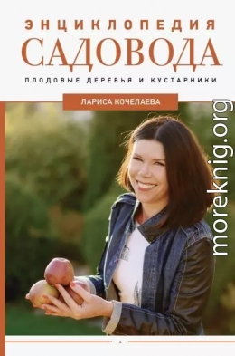 Энциклопедия садовода. Плодовые деревья и кустарники