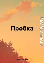 Пробка