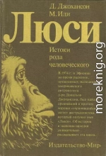 Люси. Истоки рода человеческого