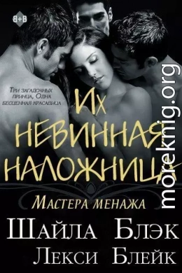Их невинная наложница (ЛП)