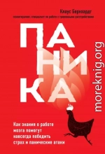 Паника. Как знания о работе мозга помогут навсегда победить страх и панические атаки