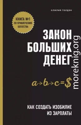 Закон больших денег. Как создать изобилие из зарплаты