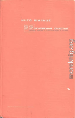 33 мгновенья счастья. Записки немцев о приключениях в Питере