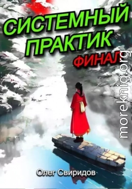 Системный практик. Финал