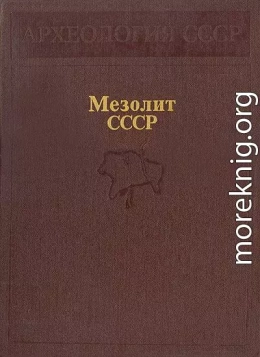 Мезолит СССР