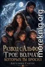 Развод с Альфой. Трое волчат, которых ты бросил