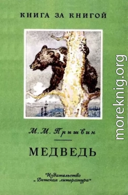 Медведь [авторский сборник]