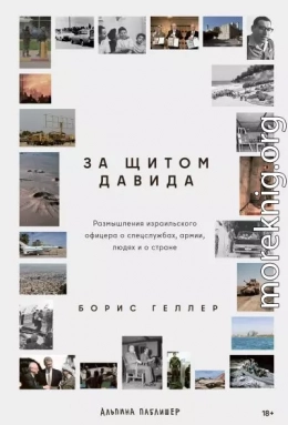 За щитом Давида: Размышления израильского офицера о разведке, армии, людях и о стране