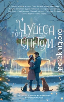 Чудеса под снегом. Рассказы о любви и волшебстве в большом городе