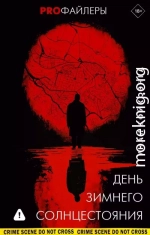 День зимнего солнцестояния