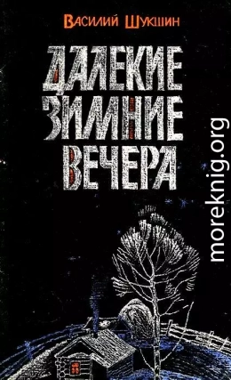 Далекие зимние вечера. Рассказы