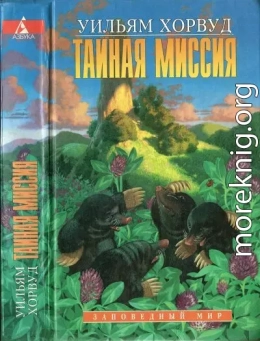 Тайная Миссия