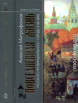 Повседневная жизнь русского провинциального города в XIX веке. Пореформенный период
