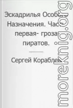 Эскадрилья Особого Назначения. Часть первая- гроза пиратов (СИ)