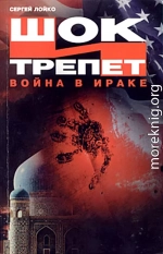 Шок и трепет. Война в Ираке