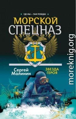 Морской спецназ. Звезда героя