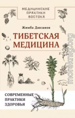 Тибетская медицина: современные практики здоровья