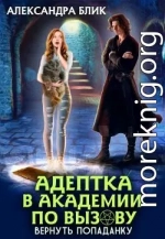 Адептка в академии по вызову. Вернуть попаданку
